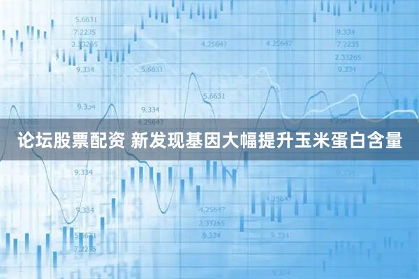 论坛股票配资 新发现基因大幅提升玉米蛋白含量