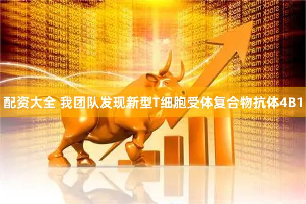 配资大全 我团队发现新型T细胞受体复合物抗体4B1